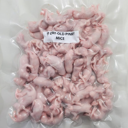 50 CT Pinky Mice