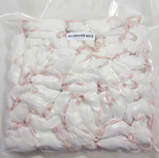 50 CT Hopper Mice